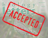 Accepted-BL